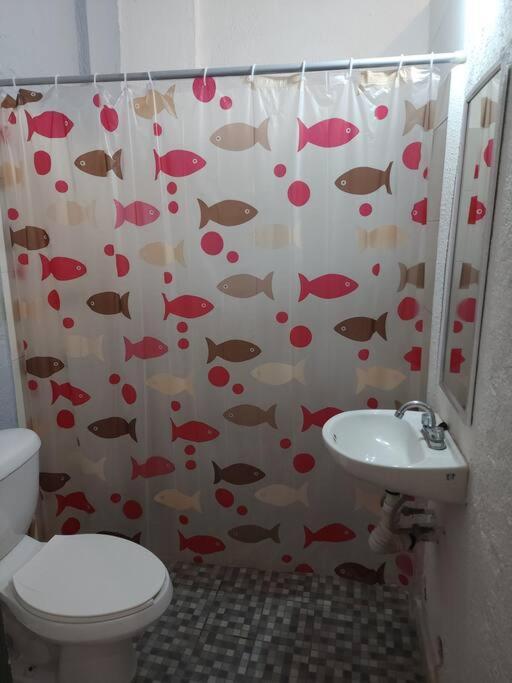 Small Studio Apt 5Min To Dt! Zihuatanejo Exterior photo